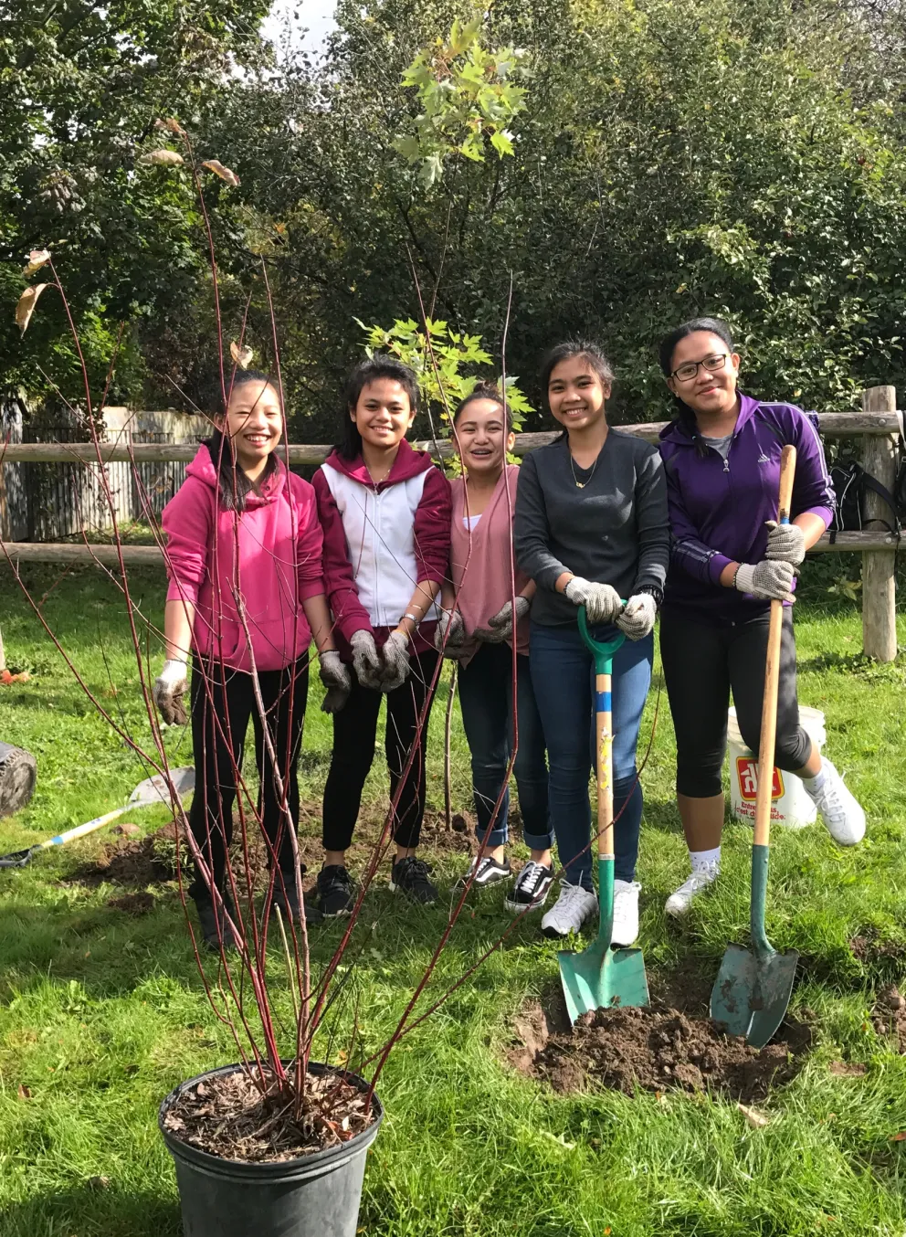 Newcomer youth planting trees