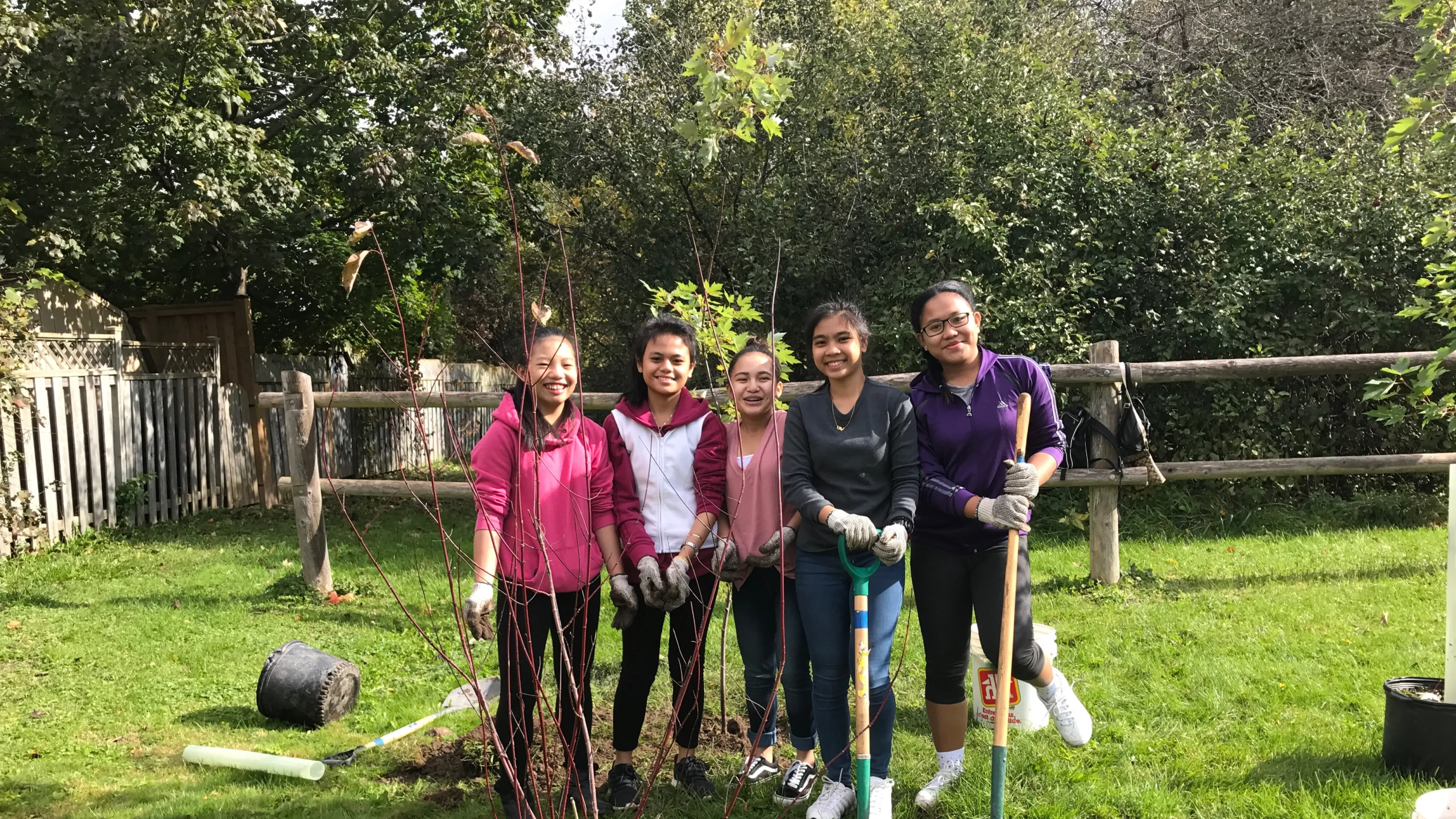 Newcomer youth planting trees